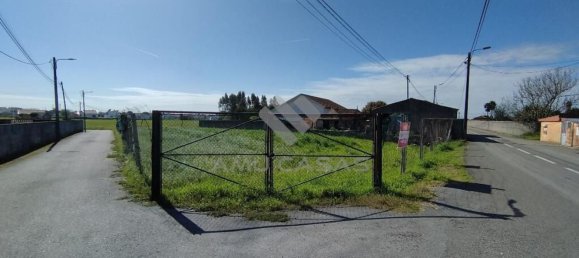 Grundstück in Murtosa, Portugal 869m², Nr. 72748 4