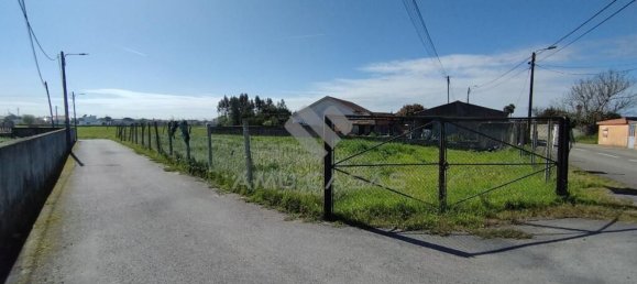 Grundstück in Murtosa, Portugal 869m², Nr. 72748 3