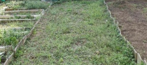 2 rooms Apartment in Arcore, Italy No. 178452 15