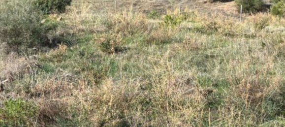 Terreno en Estepona, Spain No. 184908 7