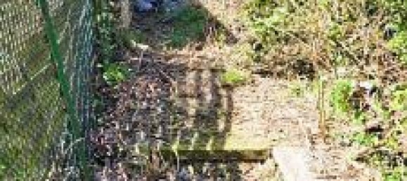  قطعة أرض في Monchengladbach, Germany 409متر مربع رقم 358909 4