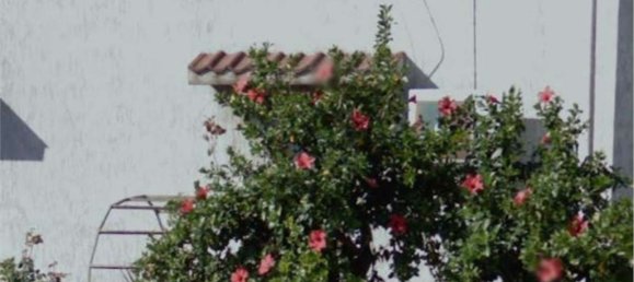 Вилла с 5 комнатами в Таранто, Италия № 295445 11