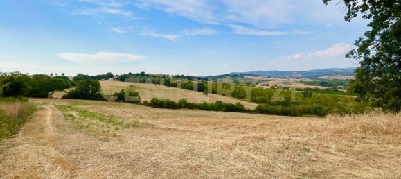 300m² Commercial property in Magliano in Toscana, Italy No. 372724 25