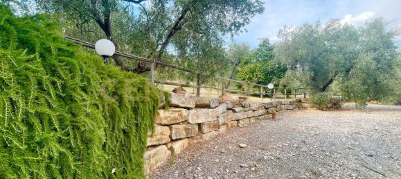 300m² Commercial property in Magliano in Toscana, Italy No. 372724 38