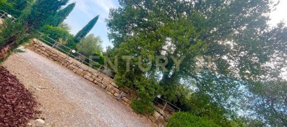 300m² Commercial property in Magliano in Toscana, Italy No. 372724 53