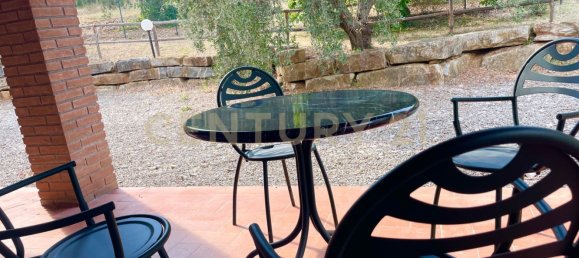 300m² Commercial property in Magliano in Toscana, Italy No. 372724 18