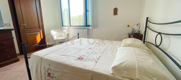 300m² Commercial property in Magliano in Toscana, Italy No. 372724 52