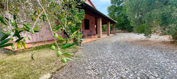 300m² Commercial property in Magliano in Toscana, Italy No. 372724 11