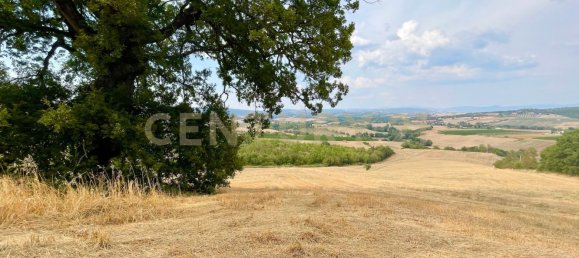300m² Commercial property in Magliano in Toscana, Italy No. 372724 8