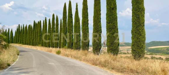 300m² Commercial property in Magliano in Toscana, Italy No. 372724 21