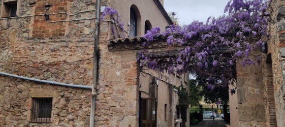 25 Schlafzimmer Haus in Sant Joan Despi, Spain, Nr. 161896 10