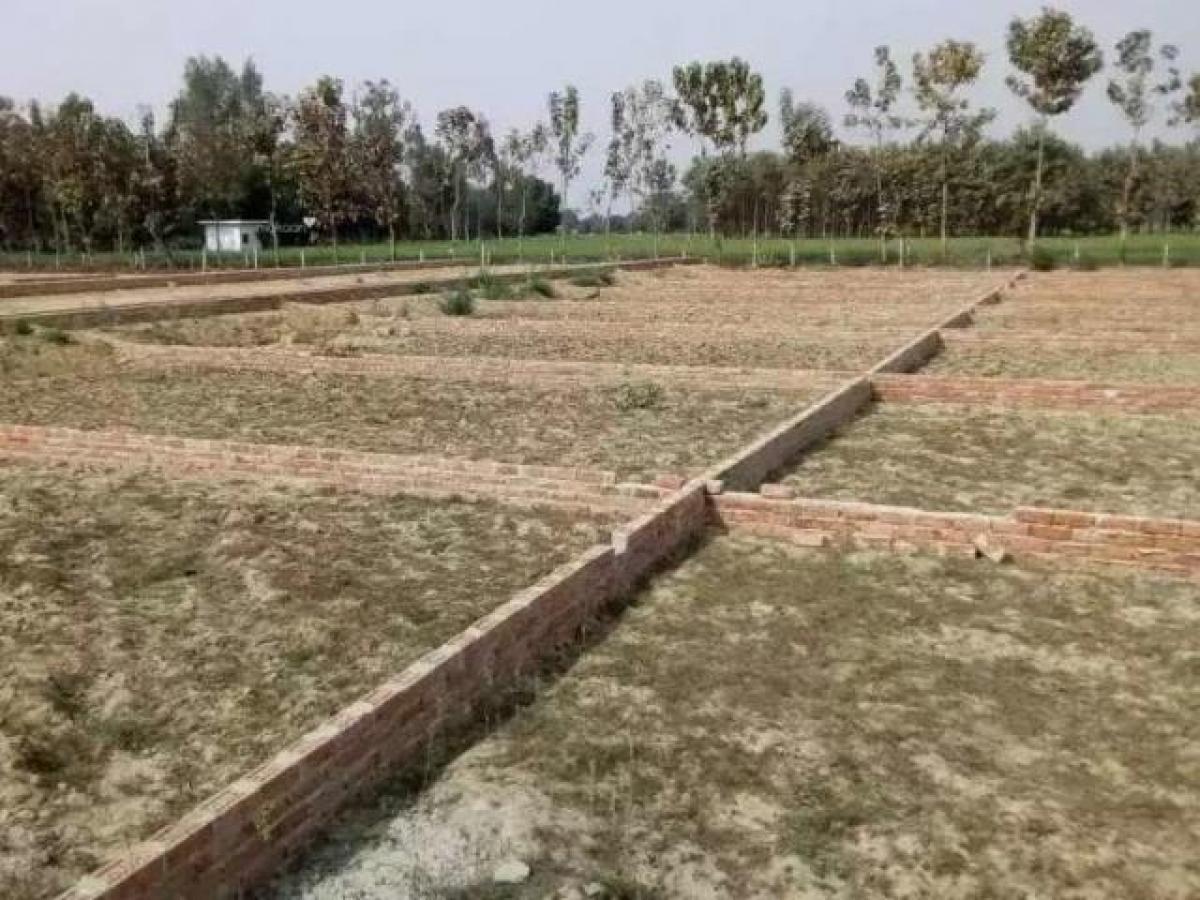 Terreno en Lucknow, India No. 30569