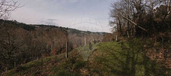 1 bedroom House in Amarante, Portugal No. 69792 13