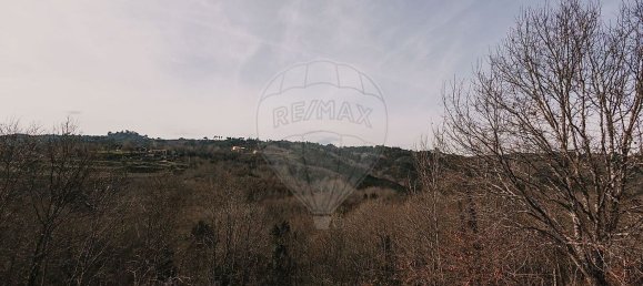 1 bedroom House in Amarante, Portugal No. 69792 6