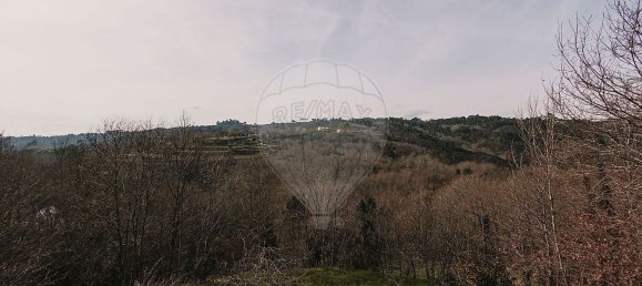 1 bedroom House in Amarante, Portugal No. 69792 7