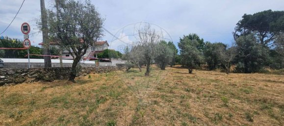 Terreno en Oliveira do Conde, Portugal No. 190386 4