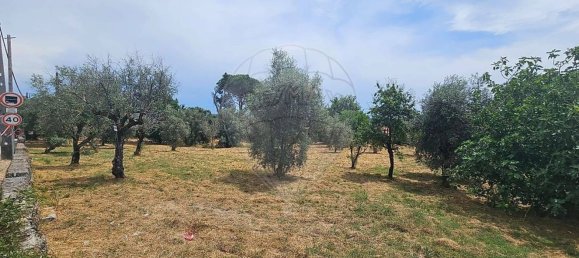 Terreno en Oliveira do Conde, Portugal No. 190386 5