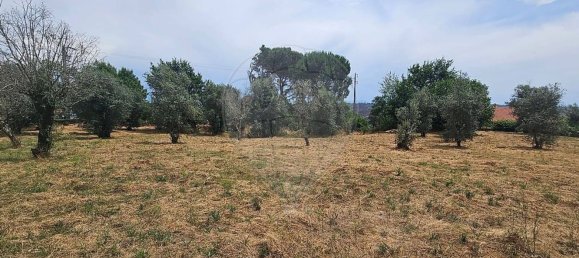 Terreno en Oliveira do Conde, Portugal No. 190386 3