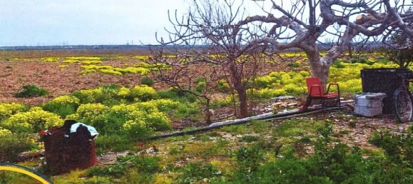 9-salle Villa à Brindisi, Italy No. 181010 41