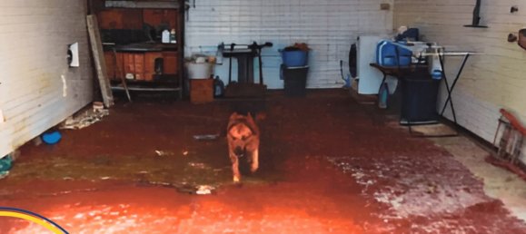 9-salle Villa à Brindisi, Italy No. 181010 80