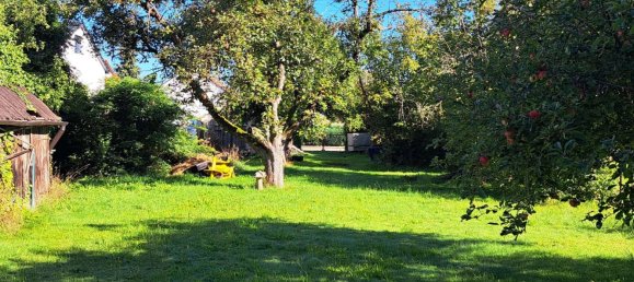 Terreno en Neu-Ulm, Germany No. 277091 5