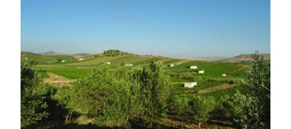 4 rooms House in Alcamo, Italy No. 254705 3