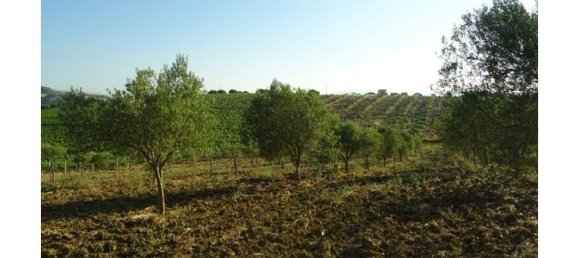 4 rooms House in Alcamo, Italy No. 254705 4