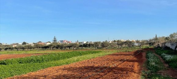 7400m² Land in Marsala, Italy No. 132176 5