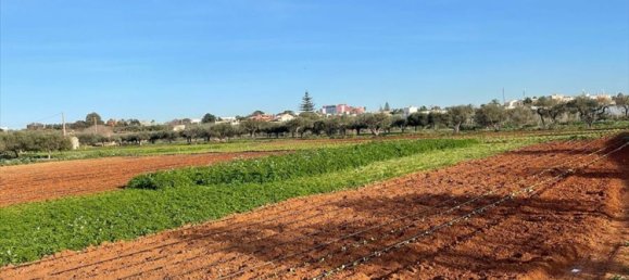 7400m² Land in Marsala, Italy No. 132176 7