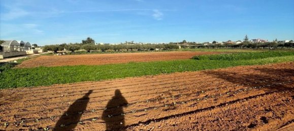 7400m² Land in Marsala, Italy No. 132176 8