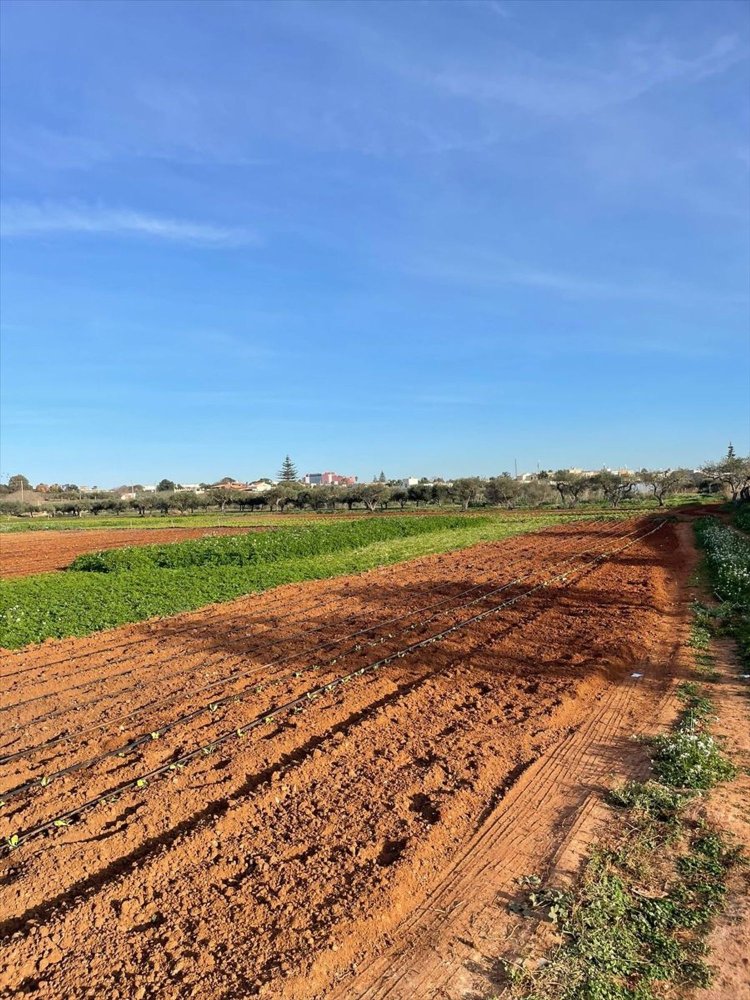 7400m² Land in Marsala, Italy No. 132176