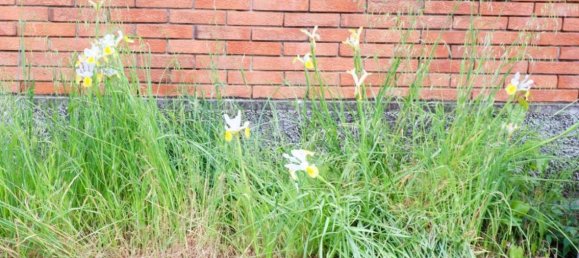 6غرفة فيلا في Pordenone, Italy رقم 155794 24