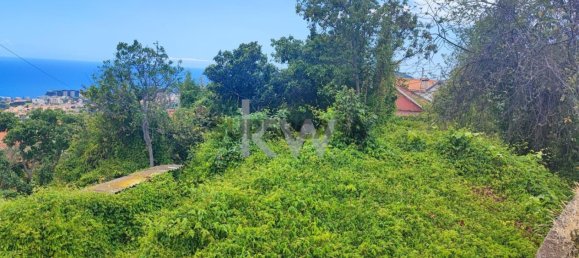 Terrain à Funchal, Portugal 50m² No. 151907 8