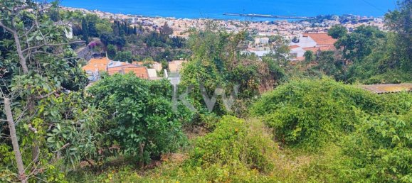 Terrain à Funchal, Portugal 50m² No. 151907 6