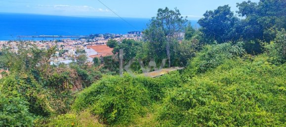 Terrain à Funchal, Portugal 50m² No. 151907 9