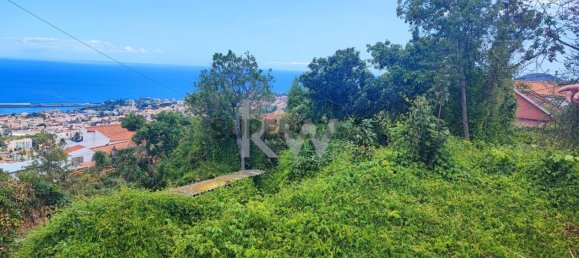 Terrain à Funchal, Portugal 50m² No. 151907 7