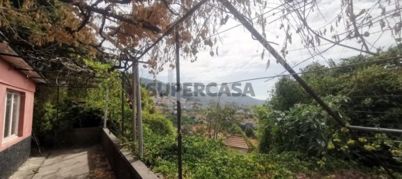 Terrain à Funchal, Portugal 50m² No. 151907 11