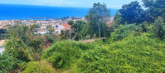 Terrain à Funchal, Portugal 50m² No. 151907 3