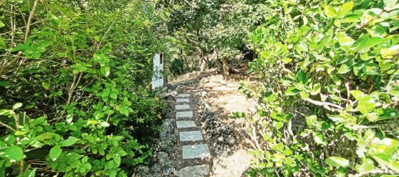 Дом с 6 спальнями в Гвадалахара, Испания № 62567 40