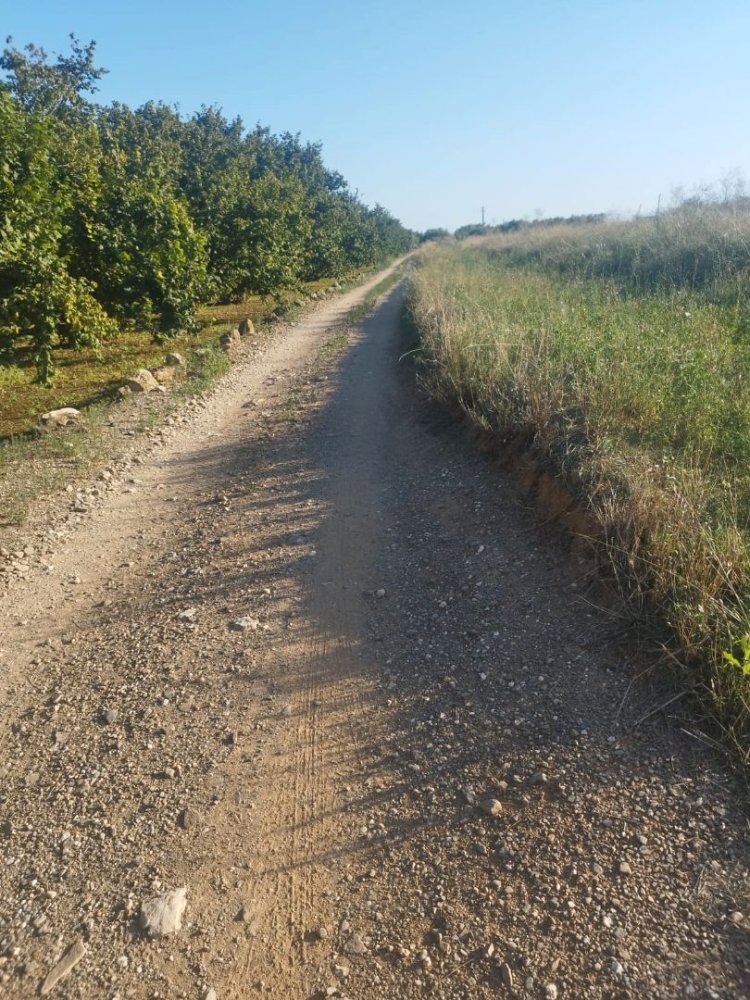 Terreno em Tarragona, Spain 20280 m² N.º 241147