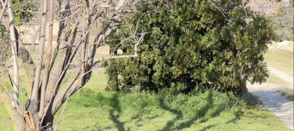 Terrain à Saint-Alexandre, France No. 98732 8