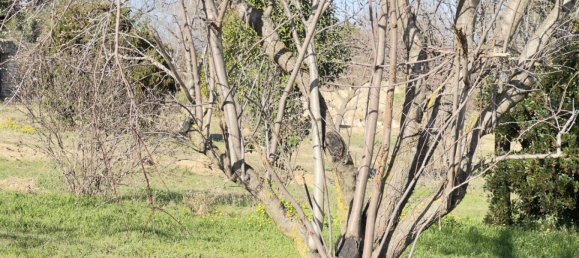 Terrain à Saint-Alexandre, France No. 98732 7