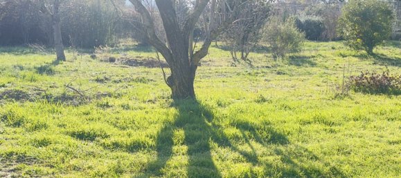 Terrain à Saint-Alexandre, France No. 98732 9