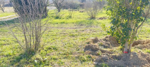 Terrain à Saint-Alexandre, France No. 98732 11