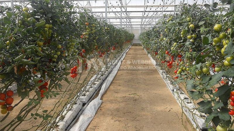 Terreno em Mezquitilla, Spain 15000 m² N.º 237793