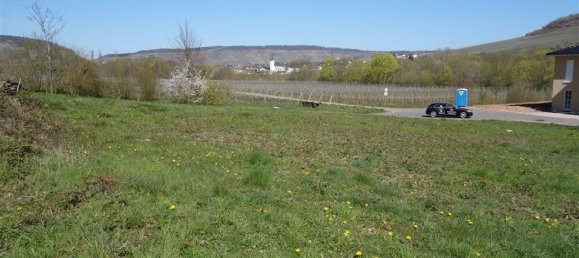 Terrain à Trier-Saarburg, Germany No. 139518 5