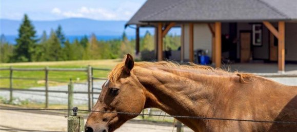 6 bedrooms House in British Columbia, Canada No. 1054 12