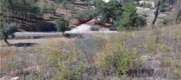 Grundstück in Vila de Rei, Portugal 2200m², Nr. 77715 4