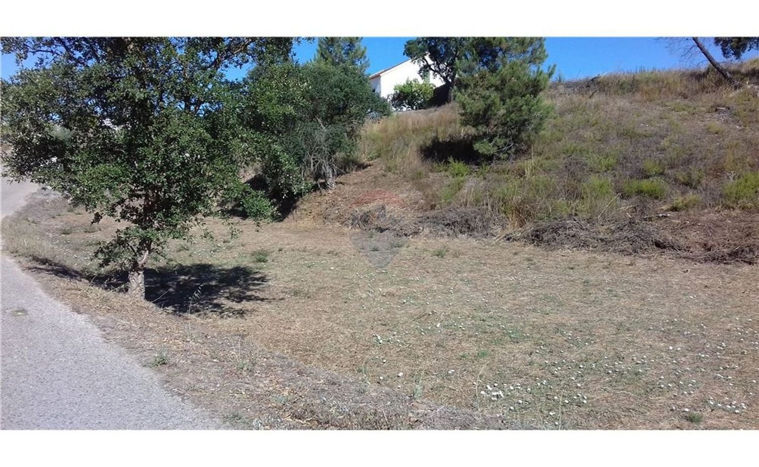 Grundstück in Vila de Rei, Portugal 2200m², Nr. 77715