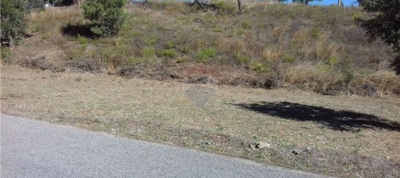 Grundstück in Vila de Rei, Portugal 2200m², Nr. 77715 2